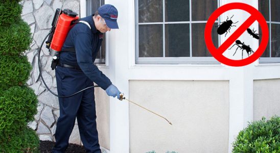 Düziçi Gümüşkurt İlaçlama böcek ilaçlama ve haşere kontrolü — ilaclama-tr.com